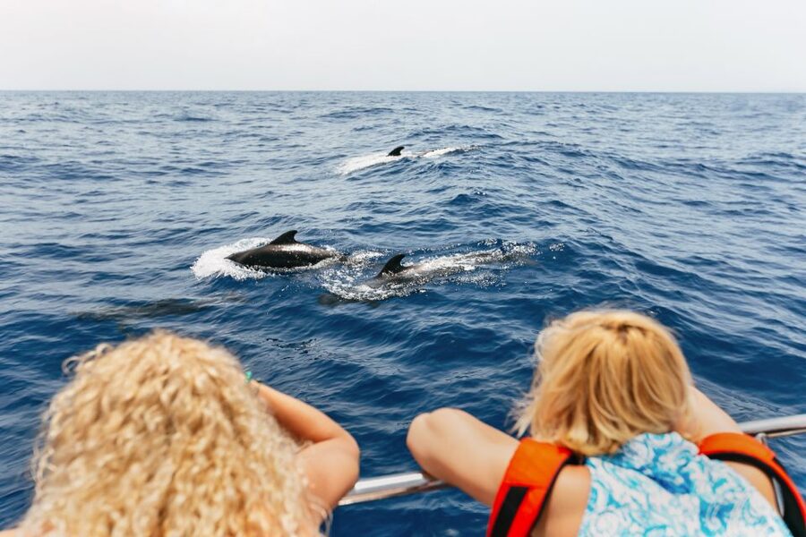 Costa Adeje: Whale Watching Catamaran Tour with Drinks - Leaving Puerto Colón for Tenerife’s Southwest Coast