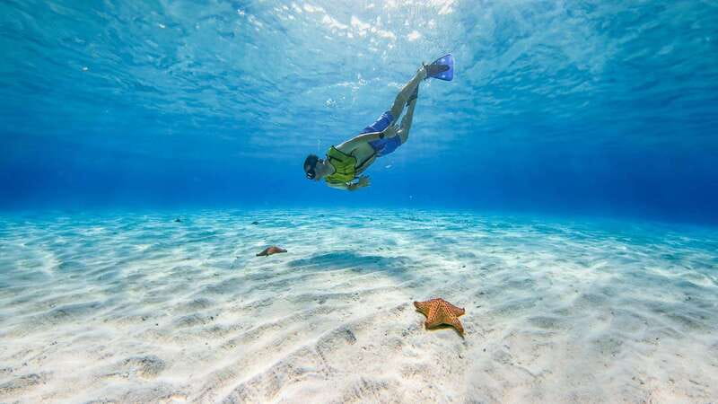Cozumel: Catamaran, El Cielo Bay & Palancar Reef with Lunch - The best parts of this Cozumel catamaran day