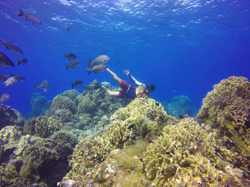 Cozumel: Catamaran, El Cielo Bay & Palancar Reef with Lunch - What the $98 price really includes