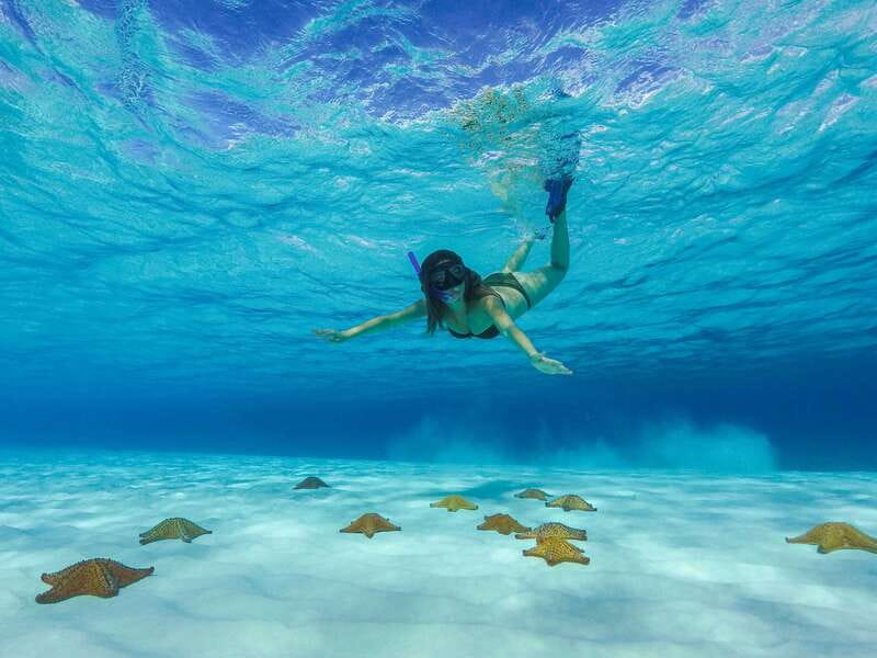 Cozumel: Catamaran, El Cielo Bay & Palancar Reef with Lunch - Who should book this Cozumel experience?