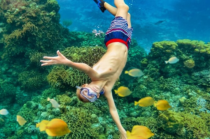 Cozumel Catamaran Experience with Snorkeling & Beach Club - Palancar Reef: the main snorkeling stop