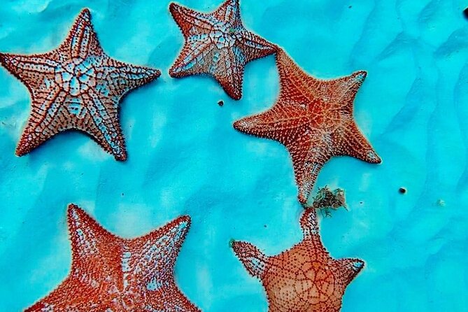 Cozumel Catamaran Fun: Snorkeling, Open Bar & Water Park - What the $99 Price Really Buys