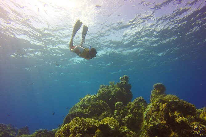 Cozumel Catamaran Snorkel Tour: El Cielo & Palancar with lunch - Who will enjoy this Cozumel day