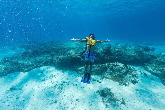 Cozumel Catamaran Snorkeling Tour & lunch - Setting out from Playa Mia’s downtown pier