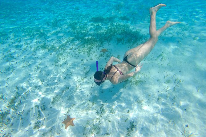 Cozumel Catamaran Snorkeling Tour & lunch - Drinks, lunch, and the beach-club stop