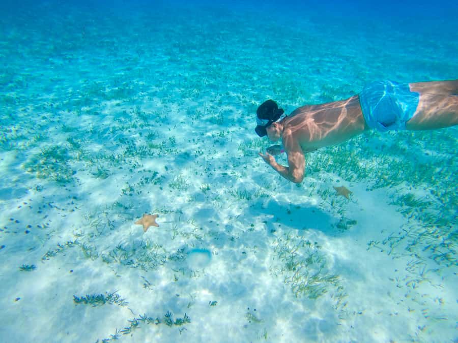 Cozumel Catamaran Snorkeling Tour & lunch - FAQ