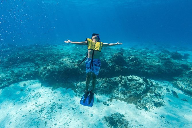 Cozumel Catamaran Snorkeling Tour & Lunch (Hotel Pick Up) - From Cancun to Cozumel by road, ferry, and catamaran