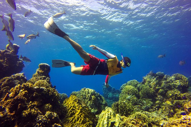 Cozumel Catamaran Snorkeling Tour & Lunch (Hotel Pick Up) - Playa Mia gives the afternoon a different rhythm