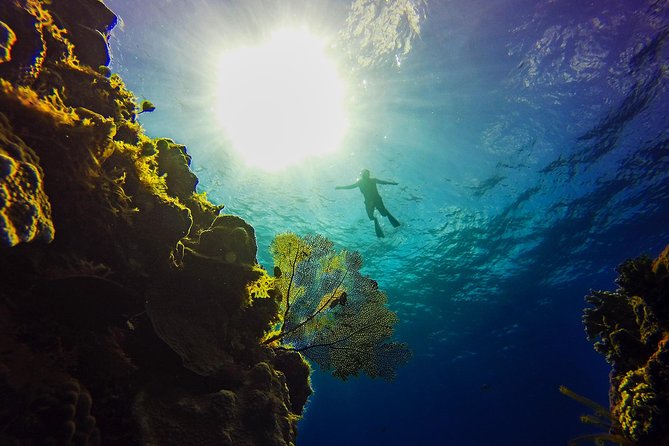Cozumel Catamaran Snorkeling Tour & Lunch (Hotel Pick Up) - Who will enjoy this Cozumel outing most
