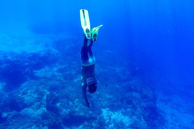 Cozumel Catamaran Snorkeling Tour & Lunch (Hotel Pick Up) - Should you book this tour?