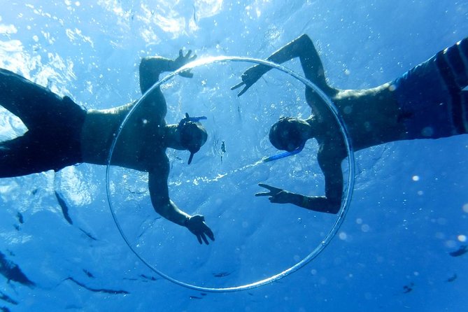 Cozumel Catamaran Snorkeling Tour & lunch - Palancar Reef and the realities of drift snorkeling