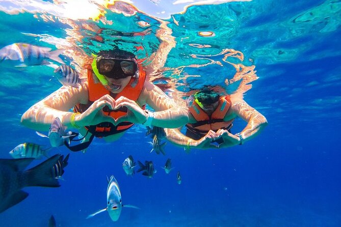 Cozumel Catamaran Tour: Snorkel at Top Reefs & Open Bar - El Cielo: beautiful, shallow, and easy to misunderstand