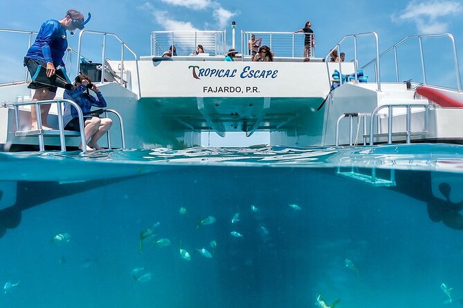 Culebra Snorkeling Tour by Catamaran from Fajardo - Getting from San Juan to Puerto del Rey Marina