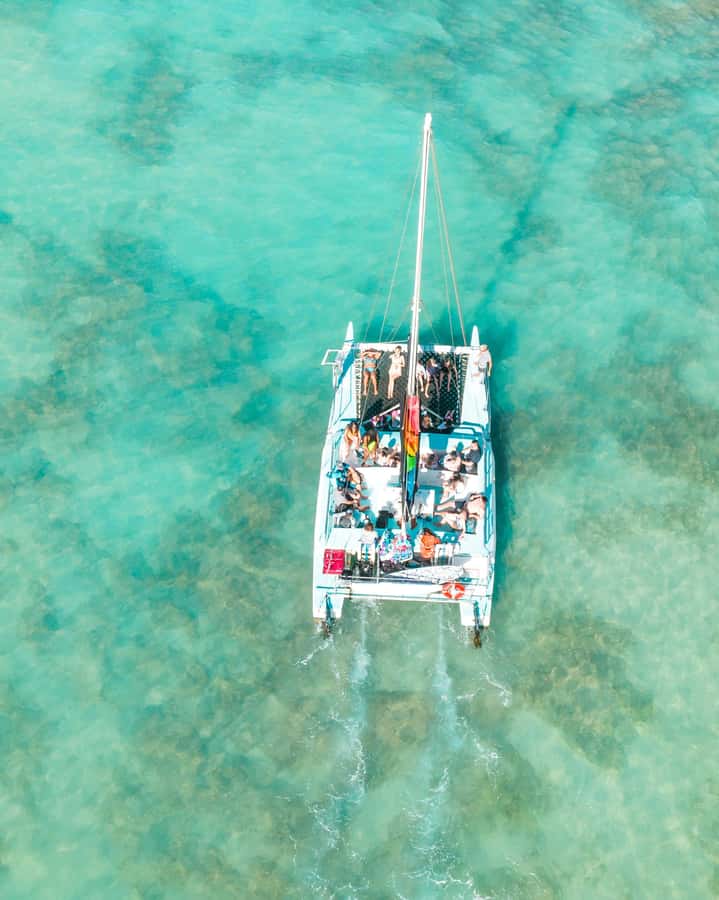 Dakhla Catamaran Tour & Dragon Island Visit - Key Points to Know Before You Go