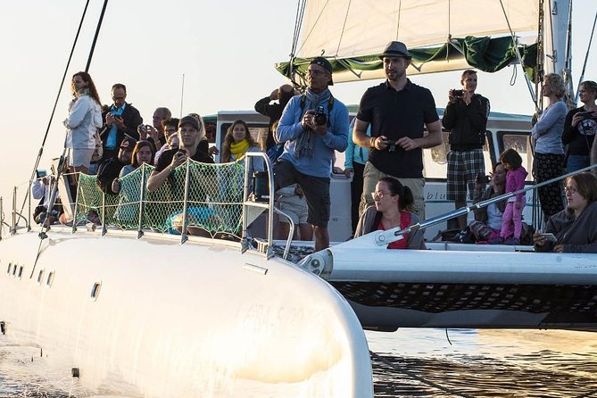 Day Catamaran Trip: Cap des Freus and Llevant Natural Park - A barbecue lunch with drinks on board