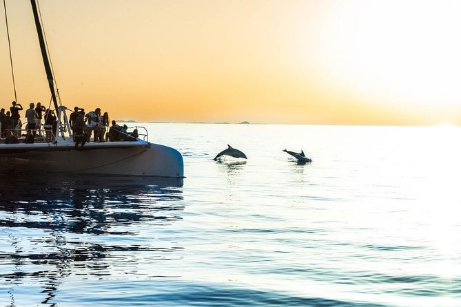 Day Catamaran Trip: Cap des Freus and Llevant Natural Park - Is $90.82 a fair price?