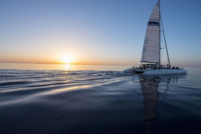 Day Catamaran Trip: Cap des Freus and Llevant Natural Park - Who will enjoy this four-hour excursion?