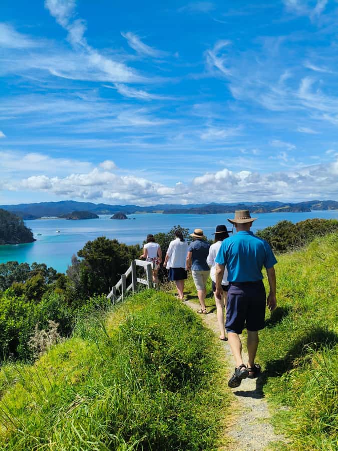 Day Sailing Charter on Catamaran with Lunch : Bay Of Islands - Leaving Paihia Wharf at 9:30am