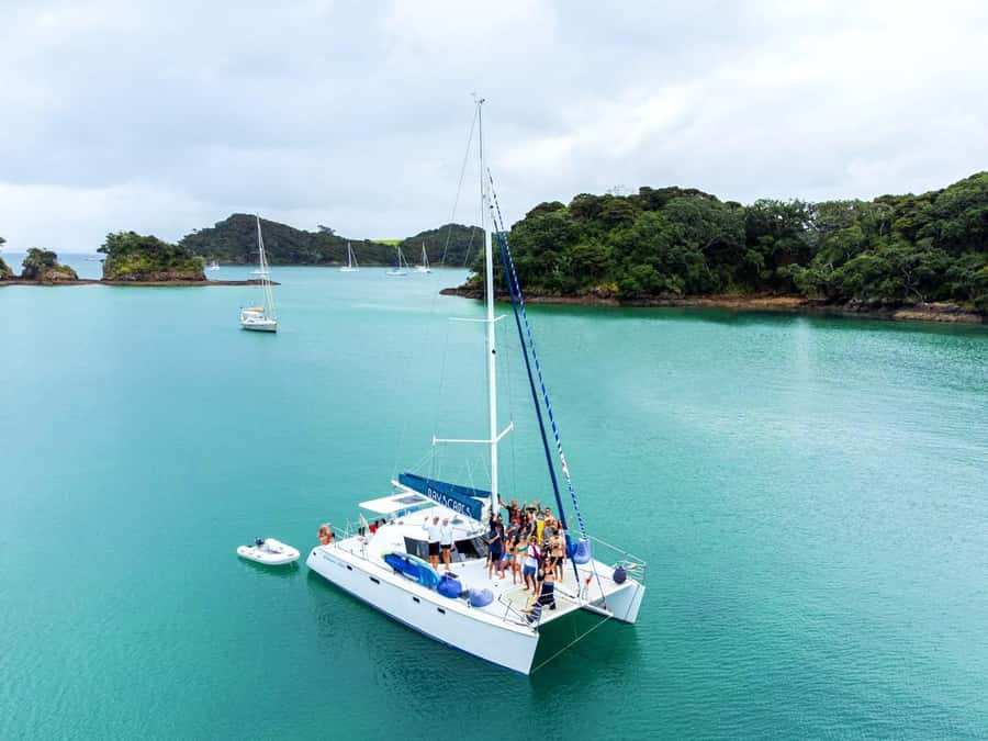 Day Sailing Charter on Catamaran with Lunch : Bay Of Islands - Paddleboards, swimming, and choosing your own pace