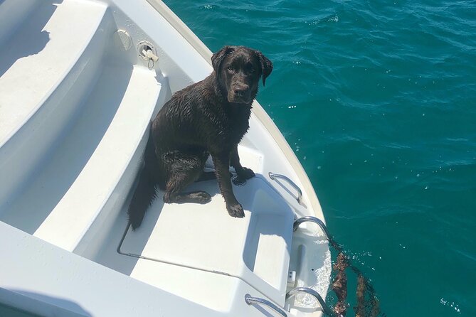 Day trip on a sailing catamaran in Sardinia - Swimming, Snorkeling, Kayaking, and Paddleboarding