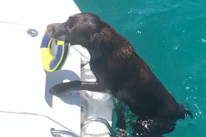 Day trip on a sailing catamaran in Sardinia - Passing Molara and Reaching Capo Coda Cavallo