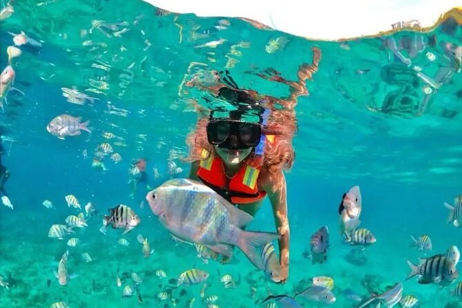 Deluxe Catamaran to Isla Mujeres with Open Bar from Cancun - Snorkeling near Isla Mujeres: included, but not guaranteed to be calm
