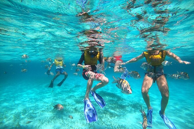 Deluxe Catamaran to Isla Mujeres with Open Bar from Cancun - The extra MX$800 fee changes the value
