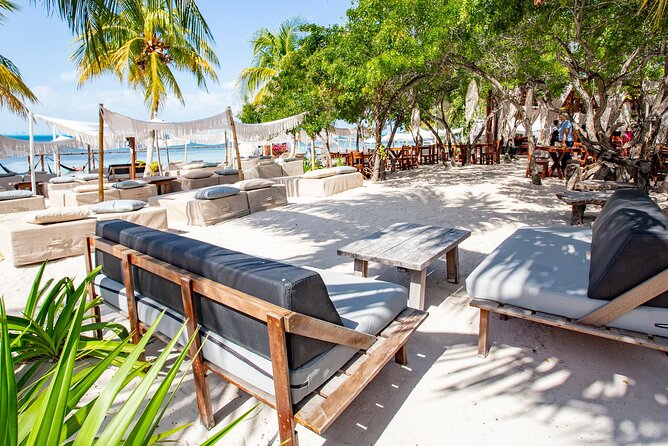 Deluxe Catamaran tour to Isla Mujeres with Open Bar and Lunch - Who will enjoy this tour most?