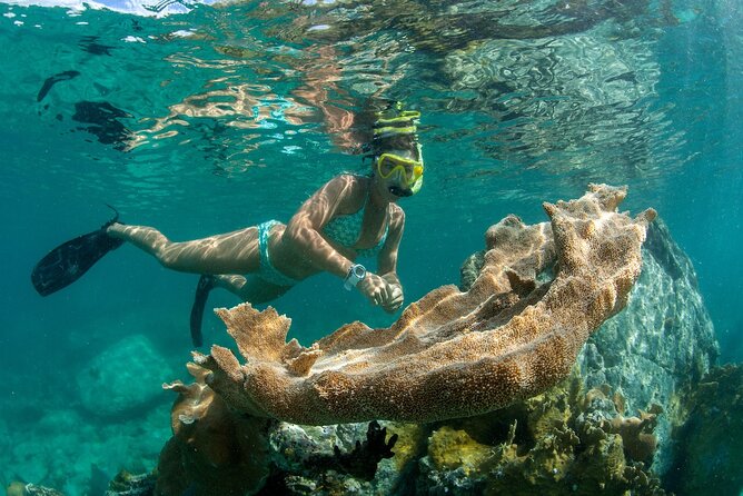 Deluxe Half-Day Snorkel Sail on Lady Grace Luxury Catamaran - Lunch, open bar, and the better part of the afternoon