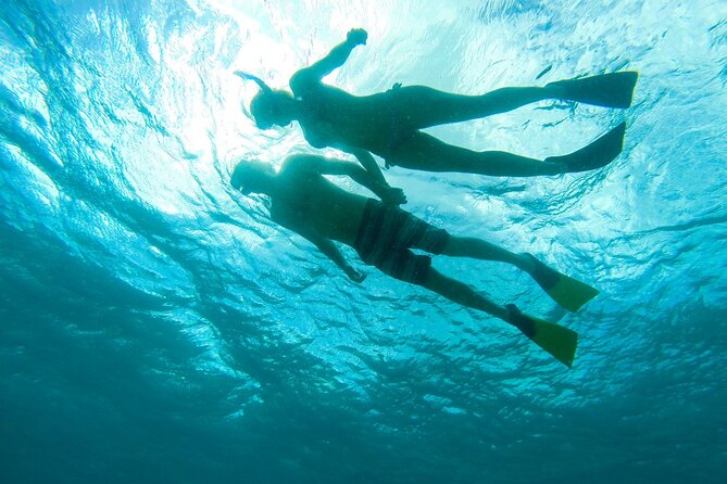Deluxe Half-Day Snorkel Sail on Lady Grace Luxury Catamaran - Iguana Island and the beach stop
