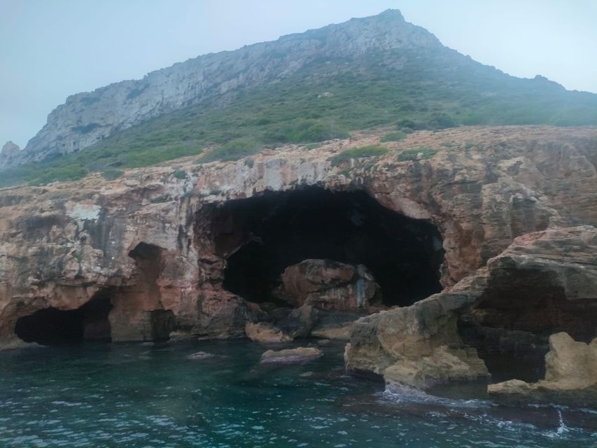 Denia: Cova tallada Catamaran Trip w/ Mussel Tasting & Wine - Why the Natural Marine Reserve adds value