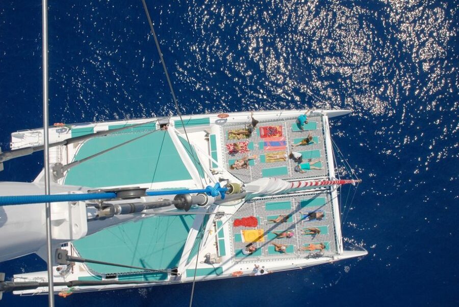 Desertas Islands Full-Day Catamaran Trip from Funchal - The monk seal story, without false promises