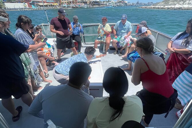 Destin Crab Island Tour in Catamaran - Food, drinks, and what to bring