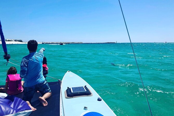 Destin Private Catamaran and Snorkeling Tour 3 or 4hrs - Crab Island time without giving up privacy