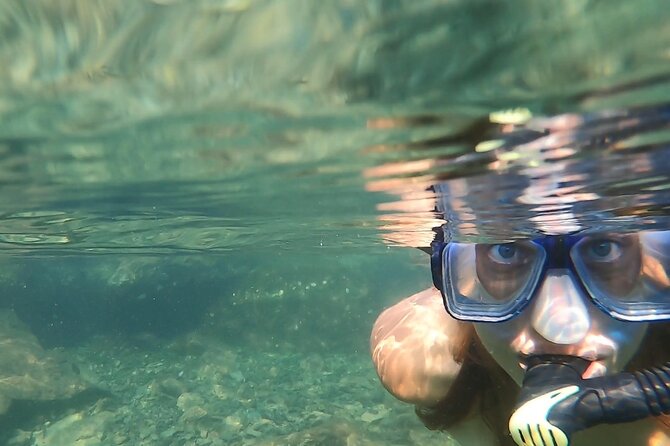 Destin Private Catamaran and Snorkeling Tour 3 or 4hrs - Weather, timing, and what to bring