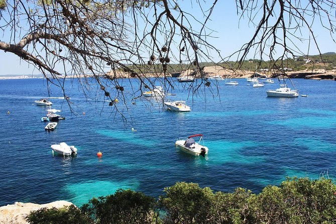 Discover Cala Bassa and Cala Comte on board a catamaran - Conejera, a protected island viewed from the sea