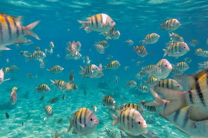 Discovering Isla Mujeres on a Double Decker Catamaran - Starting at Nichupte Lagoon