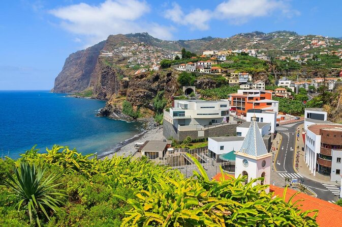 Dolphin and Whale Watching Catamaran Cruise from Funchal - Key points to know before sailing