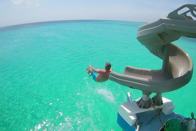 Dolphin Catamaran Snorkel and Sail with Open Bar - Key points to know before booking