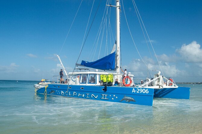 Dolphin Catamaran Snorkel and Sail with Open Bar - Second stop: Boca Catalina Bay and the coral area