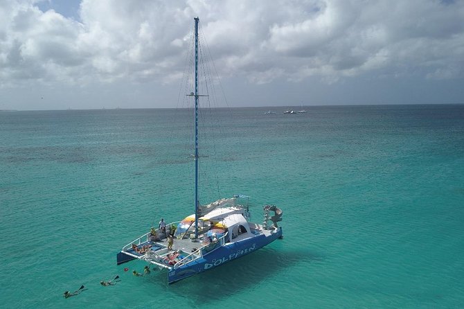Dolphin Catamaran Snorkel and Sail with Open Bar - The rope swing and spinning water slide