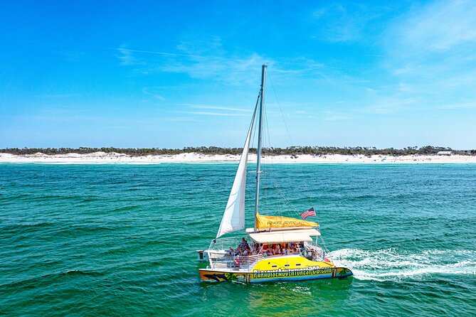 Dolphin Sightseeing Tour on the Footloose Catamaran - Key points before you book
