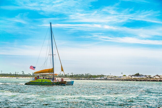 Dolphin Sightseeing Tour on the Footloose Catamaran - How the $40 price holds up