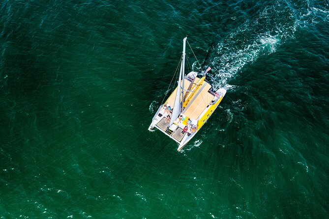 Dolphin Sightseeing Tour on the Footloose Catamaran - Weather can change the plan