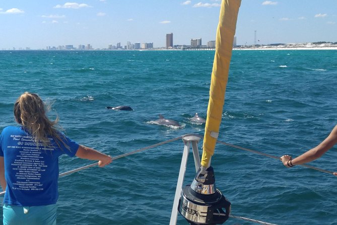 Dolphin Sightseeing Tour on the Footloose Catamaran - Cruising along the Panama City Beach coast