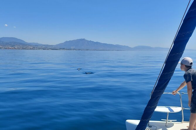 Dolphin trips on a catamaran - Searching for dolphins near Los Delfines