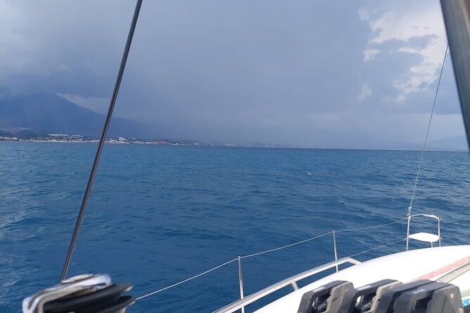 Dolphin trips on a catamaran - A friendly crew and an easy family pace