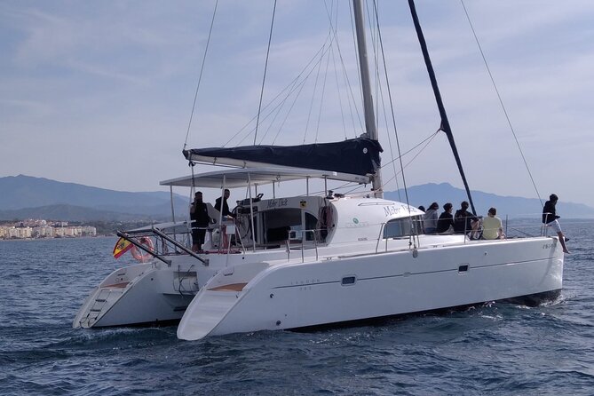 Dolphin trips on a catamaran - What to bring and how to prepare