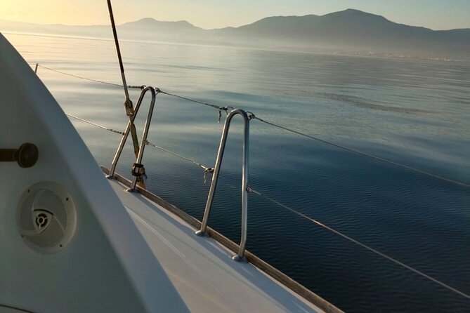 Dolphin trips on a catamaran - Swimming from the boat in open water