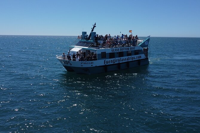 Dolphin watching on a Catamaran in Fuengirola - Five things to know before boarding